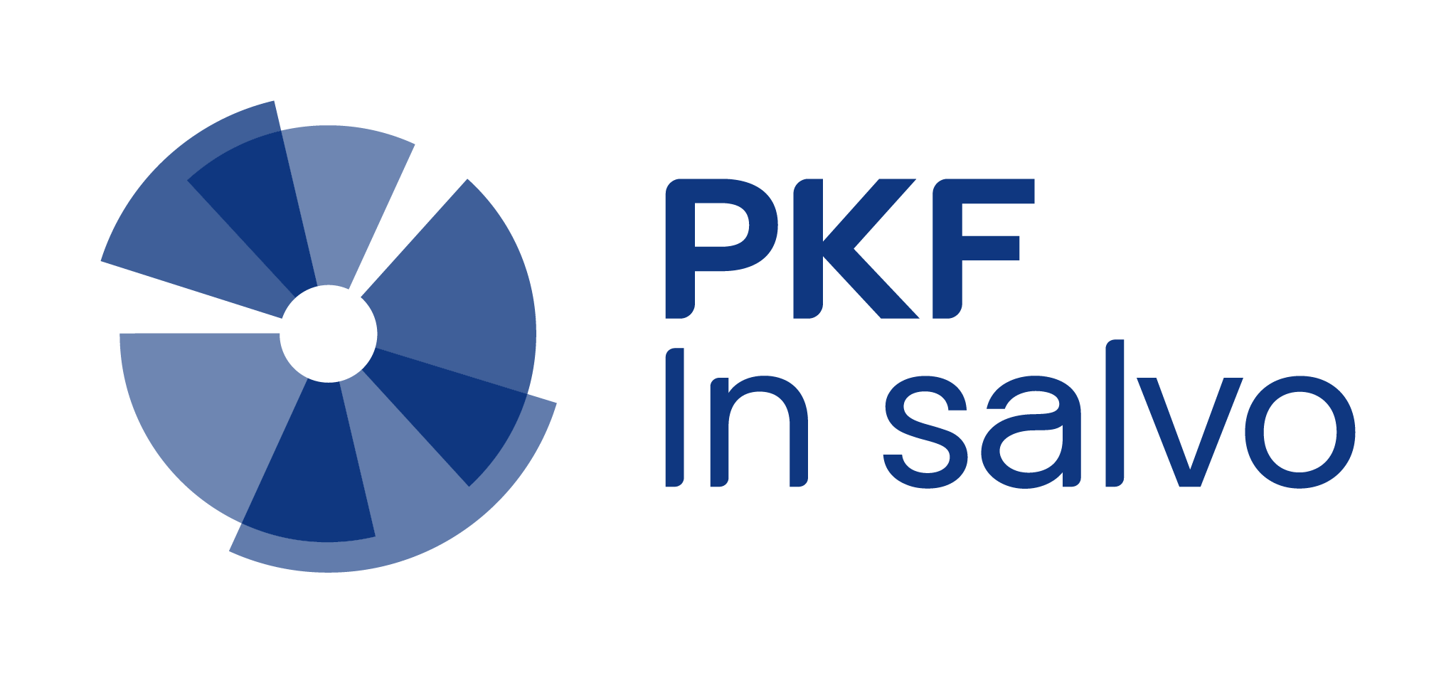 PKF In salvo, UAB logotipas